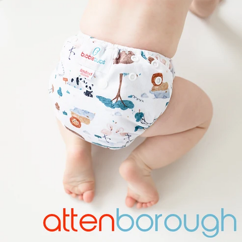 BoPeep Newborn All in Two Nappy