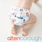 BoPeep Newborn All in Two Nappy