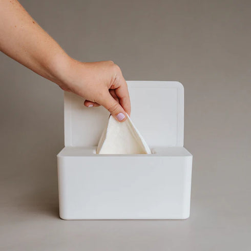 Cloth Wipes Kit | Container & Wipes