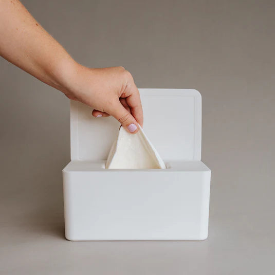 Cloth Wipes Kit | Container & Wipes