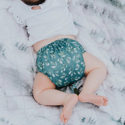 Pixie Pocket All in Two Nappy COVER