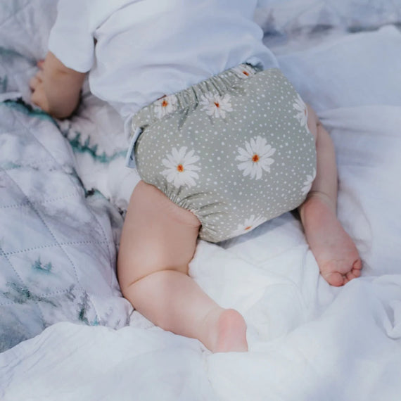 Cloth Bums Pixie Pocket + All in Two Nappy