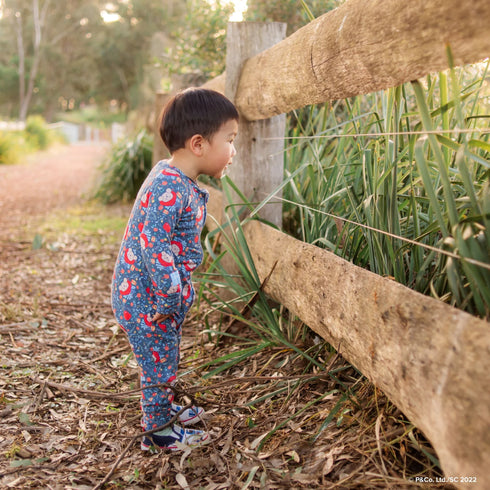 Monarch Store Bamboo Romper (Bootysuit) V3.0 LONG SLEEVED : Paddington Baby