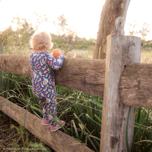 Monarch Store Bamboo Romper (Bootysuit) V3.0 LONG SLEEVED : Peter Rabbit Classic